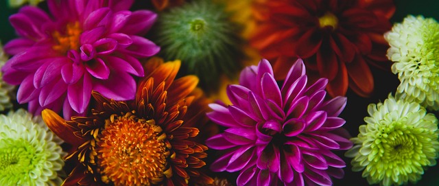 瑣比賽背後 瑣比賽背後