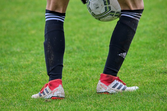 球队飞抵杭 球队飞抵杭