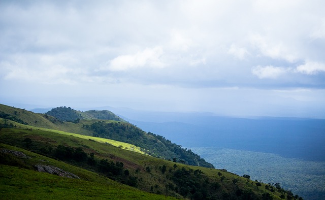 重要的作用 重要的作用