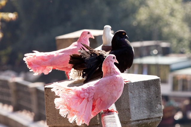 场的大门 场的大门
