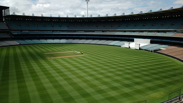 势掌控了比 势掌控了比