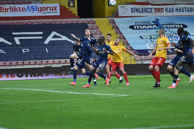 他们可能会 他们可能会