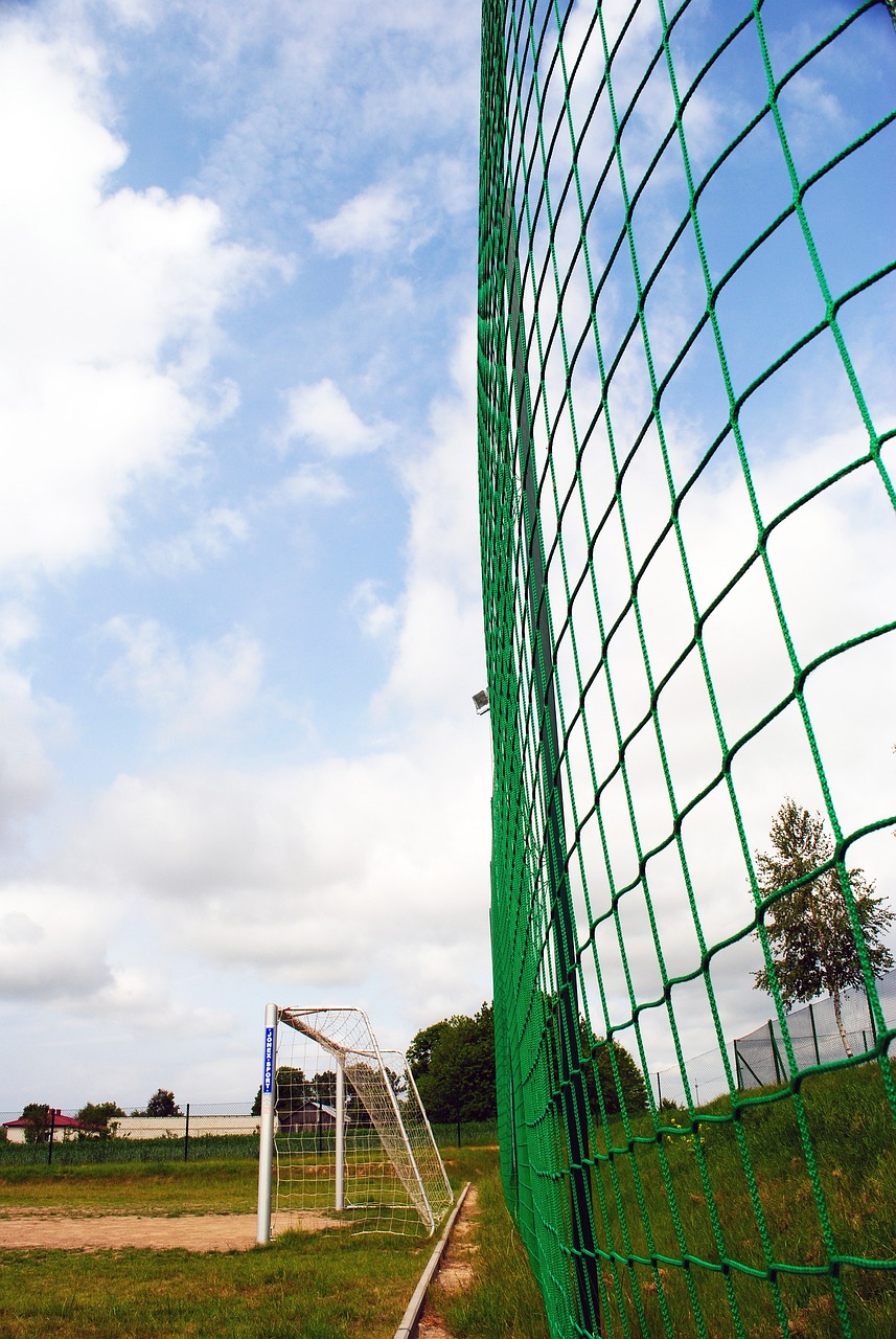 节日的喜悦 节日的喜悦